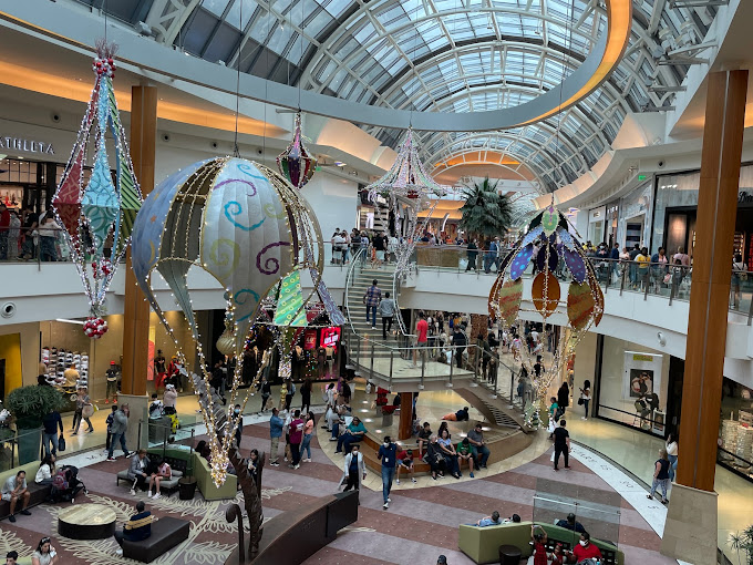 Brandon Town Center Mall Brandon Tree Service